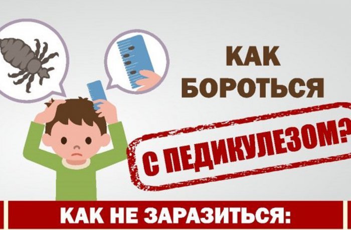Предупреждение педикулеза.